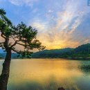 태양의 미소 이미지