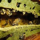 이노헬스케어 이미지