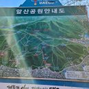 안일사앞 Daum카페