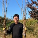 농업회사 감농원 네이버블로그