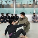 김포골든라이온주짓수
