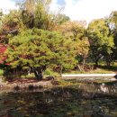 여미지식물원 이미지