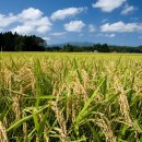 장성통합RPC 이미지