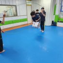 용인대 성서 태권도 이미지