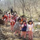 금병초등학교 병설유치원 이미지