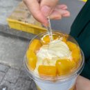 상아냉동 이미지