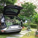 그린포레스트