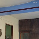 타파커피 네이버블로그