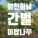 화남농장 이미지