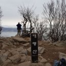 일품돈가스 이미지