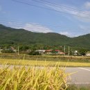 신기마을 앞 이미지