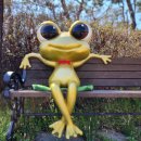 금와습지 생태공원 이미지