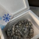 역전꼬막 이미지