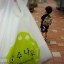 국수나무장기점 이미지