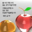기품 이미지