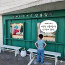 (제주 조천읍 가볼만한곳) 아이와 함께 힐링하고 온 개성 넘치는 '아리미티드양품점' 방문 후기