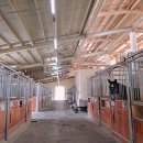 본마사동 이미지