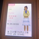 신속묘 | 이번 올영, 엘카 패밀리세일 지름 후기
