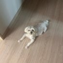 윤안경(2호점) | 1년만에 .. 밀린블로그세요