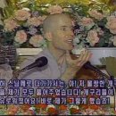 호롤로
