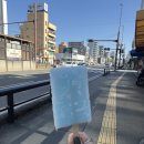 수세차카페 | [구마모토여행 5일차] 구마모토동물원-사쿠라마치 이자카야