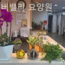 수원 권선구 요양원 늘봄실버밸리 요양원 가족 입소 후기