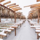 광산초등학교흘리분교장 이미지