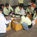 노안면사무소 이미지