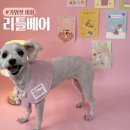 리틀베어 | 연산동 가위컷 애견미용실 리틀베어