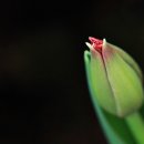 부천자연생태박물관 이미지