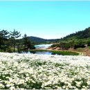 장산도