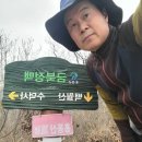 금북정맥 4구간(56km)따뜻한 아랫목이 그리운 밤 이미지