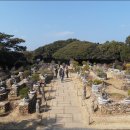 장사도해상공원 이미지