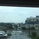 서생면행정복지센터 이미지