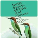 여자말을잘듣자 이미지
