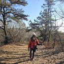 [경기도 김포] 대명항~승마산 숲길 순환코스 걷기