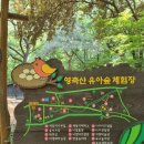 영축산순환산책로(유아숲) 이미지