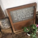 시골커피 - 기장군 구연1로 11 | 시골커피