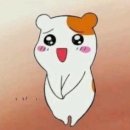 이* Daum카페