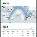 서울랜드 불꽃놀이 K-POP 시그니처 쇼 후기 (위치, 꿀팁, 후기, 할인정보 등)