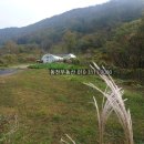구산면381 네이버블로그