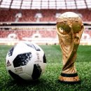 월드컵헬스 이미지