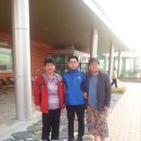 녹색농촌체험관 Daum카페