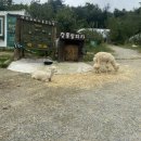 김우정농장 이미지