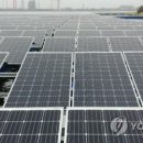 대○ 태양광발전소 이미지