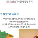 로스팅트리 이미지
