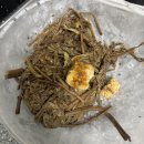 지리산자연밥상 | 건고사리 삶는법 어렵지 않아요! 지리산 건고사리 맛있게 삶고 무치는 방법 후기