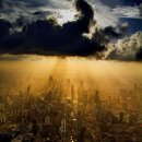 CRANE WORLD 이미지