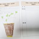 흙이랑 이미지