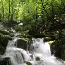 평창 대하리 전통가옥 이미지